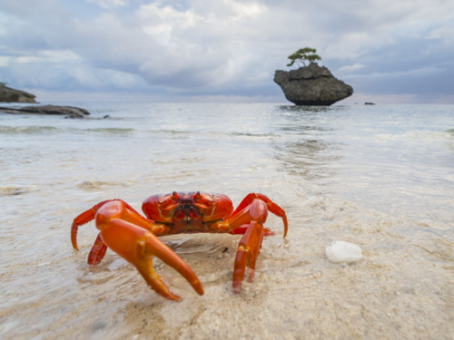 christmas island swell lodge photo tour example 31